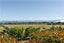 26 Romina Way, Martinborough - Carousel 36
