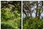 37 Pohutukawa Drive, Athenree, Katikati - Carousel 42