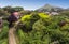 7 Ryan Street, Portobello, Dunedin - Carousel 18