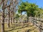 371 Tutaki Road, Bunnythorpe, Palmerston North - Carousel 35