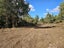 6129 Mangakahia Road - Carousel 11
