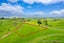 Lot 3 Bird Road, Pirongia, Waipa, Waikato - Carousel 1