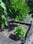 209 Millwater Parkway, Silverdale, Silverdale - Carousel 43