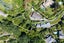 17A Kopanga Road, Havelock North, Havelock North - Carousel 3