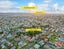 11 Mersey Place, New Windsor, Auckland - Carousel 23