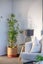 41B Wellington Street, Hamilton East, Hamilton - Carousel 14