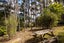378 Mahau Sound, MAHAU SOUND, MARLBOROUGH SOUNDS - Carousel 19
