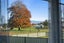 1207 Park Road, Te Awamutu, Te Awamutu - Carousel 10