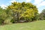 236 Kiwitahi Road, Helensville, Helensville - Carousel 41