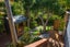 7 Brussells Place, Birkenhead, Auckland - Carousel 32