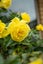 27 Ernest Gray Place, Halswell, Christchurch - Carousel 22