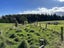 140 Three Mile Hill Road, North Taieri, Mosgiel - Carousel 20