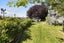 874 Palmerston-Dunback Road, Inch Valley, Palmerston - Carousel 5