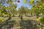 581 Pesters Road, West Eyreton, West Eyreton - Carousel 41
