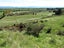 594 Hurunui Bluff Road, Hurunui, Hawarden - Carousel 5