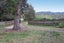 2734 State Highway 1, Brynderwyn, Maungaturoto - Carousel 14