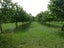 615 Pesters Road, West Eyreton, West Eyreton - Carousel 8