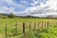 288 North Manakau Road, Manakau, Horowhenua, Manawatu / Whanganui - Carousel 9