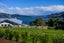 22A Raynbird Street, Company Bay, Dunedin - Carousel 18