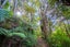 140 Owhiwa Road, Onerahi - Carousel 44