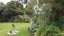 29 Gibson Street, Ross - Carousel 20