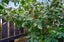 29 Claude Road, Hillpark, Auckland - Carousel 22