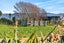 71 Waihakeke Road, Carterton, Carterton - Carousel 33