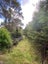 452 Moir Hill Road, Warkworth, Warkworth - Carousel 9