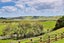 1190A Wharehine Road, Port Albert, Wellsford - Carousel 29