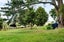 252 Crane Road, Kauri, Kamo - Carousel 4