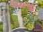 1/18 Pahau Place, Cracroft, Christchurch - Carousel 1