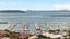 144 Wiseley Road, West Harbour, Auckland - Carousel 9