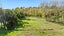 200 Awa Road, Kumeu - Carousel 24