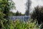 64B Racecourse Road, Waipawa, Central Hawke's Bay, Hawke's Bay - Carousel 30