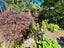 70 Edward Street, Coromandel, Coromandel - Carousel 12