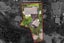 12C Wicklam Lane, Greenhithe, Auckland - Carousel 23