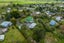 8 Neumann Street, Kawakawa, Kawakawa - Carousel 32