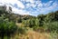 1845 Dovedale Road, Woodstock, Wakefield - Carousel 19