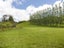 29 Ngahere Park Road, Turitea, Palmerston North - Carousel 23