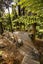 94A Konini Road, Titirangi, Auckland - Carousel 27