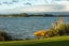 204E Beach Road, Katikati, Katikati - Carousel 28