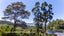 70 Otitori Bay Road, Titirangi, Auckland - Carousel 8