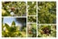 123 Links Avenue, Mount Maunganui, Mount Maunganui - Carousel 27
