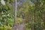 15 Van Beek Place, Ruby Bay, Tasman, Nelson / Tasman - Carousel 24