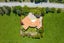86 Rustybrook Road, Wellsford, Wellsford - Carousel 29
