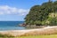 215B Russell Bruce Place, Onemana, Whangamatā - Carousel 35