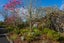19 Mountain View Road, Morningside, Auckland - Carousel 44
