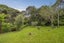 700 Colville Road, Amodeo Bay, Coromandel - Carousel 27