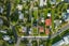 3 Johnston Road, Kawakawa, Kawakawa - Carousel 22