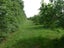 615 Pesters Road, West Eyreton, West Eyreton - Carousel 13